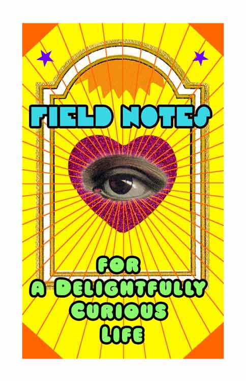2026-6-28-HoshiHana-Field-Notes-vol1-cover